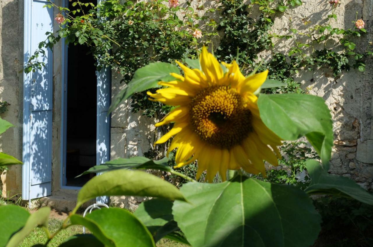 Chambres D'Hotes Dans Maison D'Artiste Galargues Exterior photo
