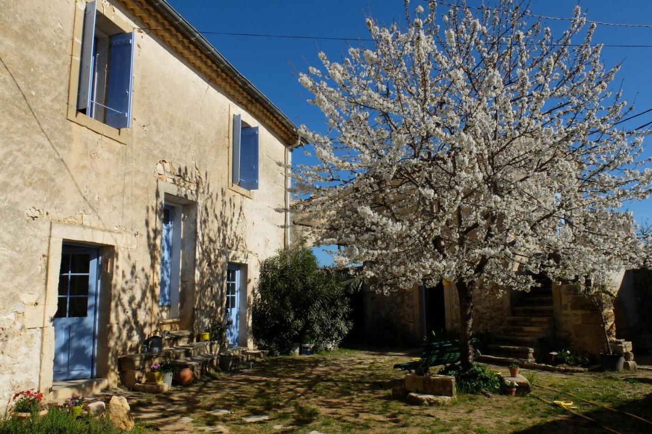 Chambres D'Hotes Dans Maison D'Artiste Galargues Exterior photo